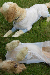 Additional views of dog wearing Bug Baffler insect protective jacket
