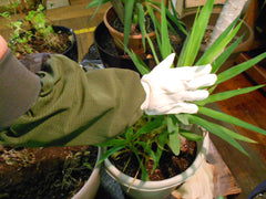 UV Protective gloves SPF50