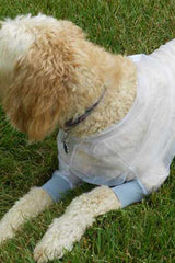 close up of dog wearing Bug Baffler insect protective jacket for pets