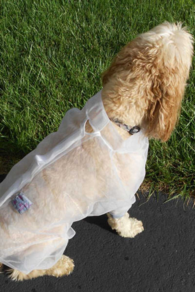 Dog wearing Bug Baffler insect protection jacket